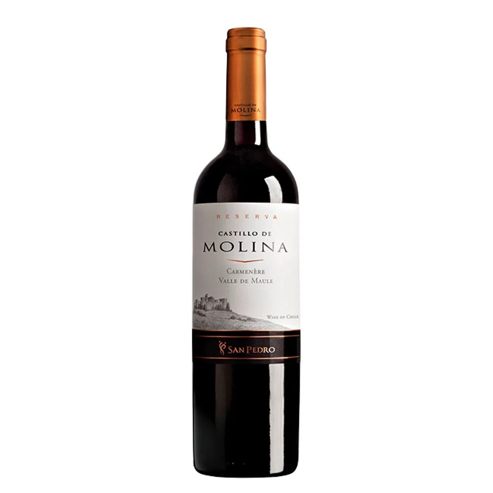 カルメネール種　CASTILLO MOLINA GRAN RESERVA Castillo De Molina Carmenere Reserva - UVA Tienda de vinos